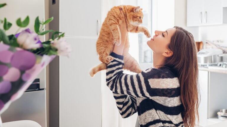 Young woman playing with cat in kitchen at home.