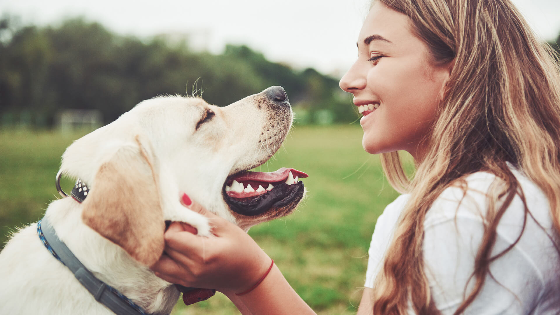Man's best friend: how we can now do more with our pets - Lux Magazine