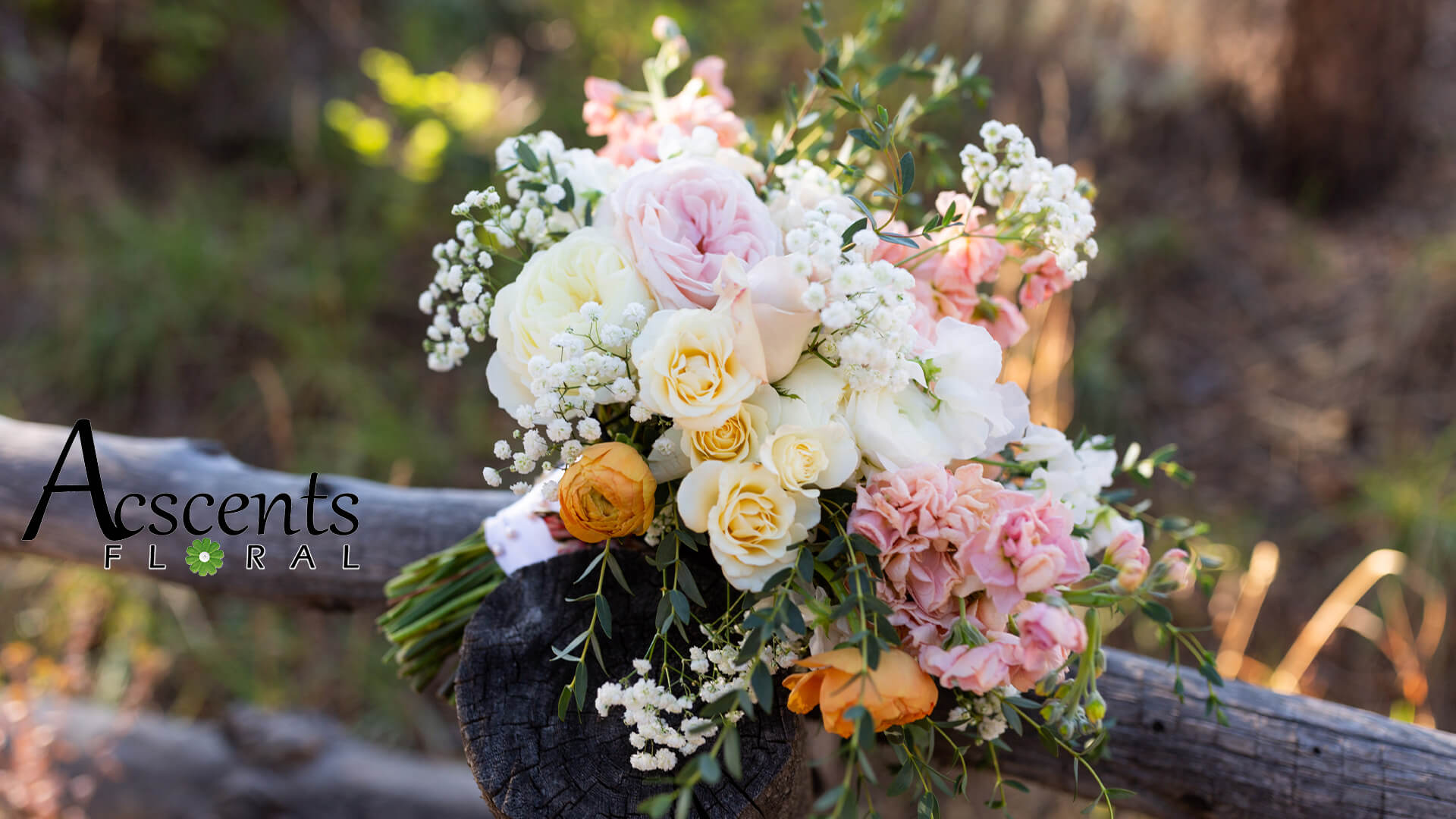 A wedding bouquet with white, yellow. and pink flowers. The Ascents Floral logo is on the middle left side