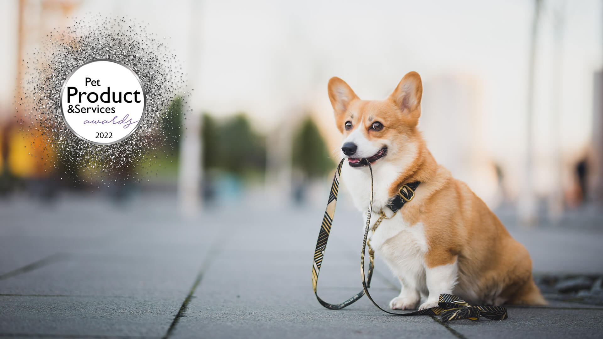 Corgi with a leash in his mouth. The LUXLife 2022 Pet Product and Services Awards logo is in the top left corner