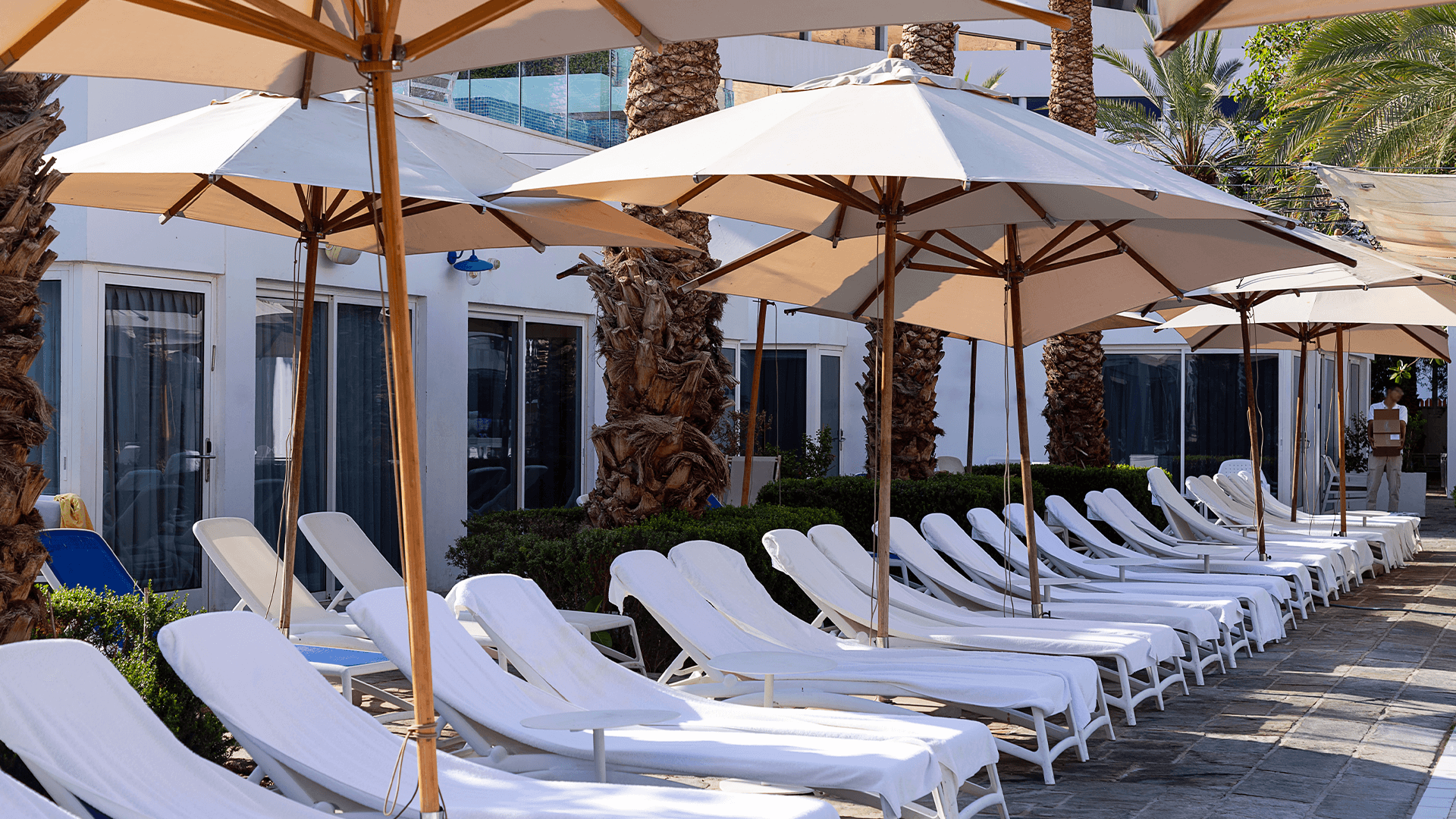 Beach chairs, umbrellas around swimming pool with palm trees background.